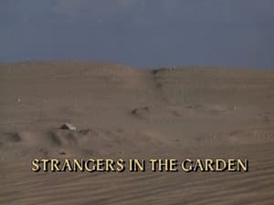 Strangers in the Garden