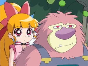 Coach Kaoru's Crash-Course Soccer! / Fuzzy in Love!