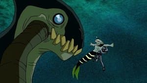 The Krakken