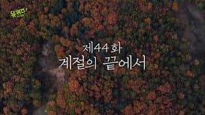 Episode 44