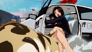 Love's Highway Stars