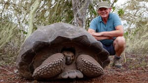 Galapagos