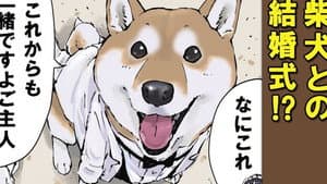 Teach Me, Haru-san / Vow of Servitude / Deer Antlers