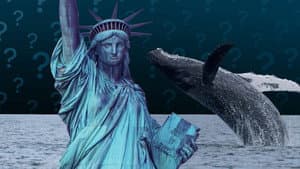 Can Whales and Ships Coexist in New York Bay?
