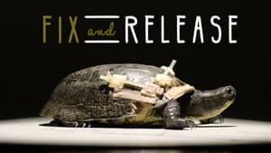 Fix & Release