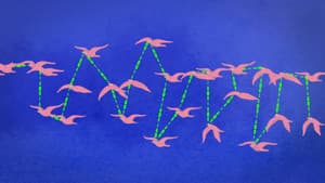Are we more intelligent in swarms?