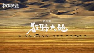 Episode 4