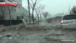 Tsunami Observation