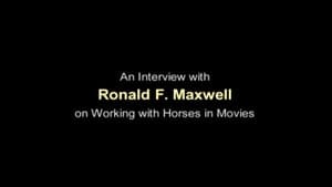 Working with Horses in Movies