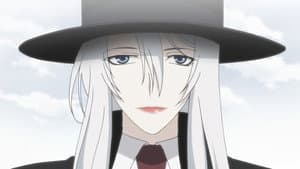 Silver-Coloured Shadow