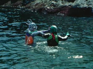 Suspicious Merman Amazonia