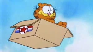 Box o' Fun