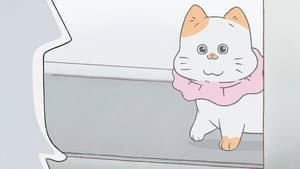 Episode 28