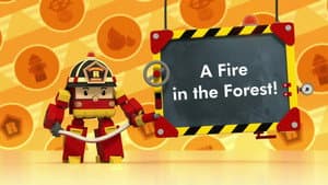A Fire in the Forest!