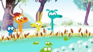 Funny Frogs