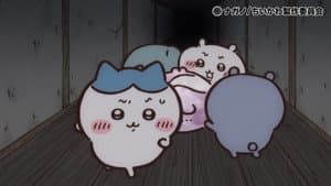 Episode 296
