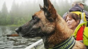 Searching from boat