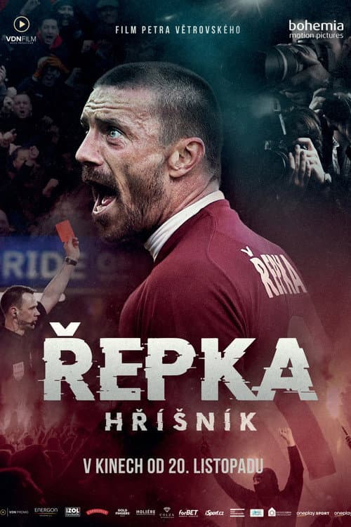 Řepka: Hříšník