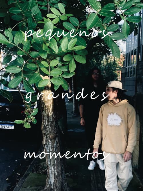 pequenos grandes momentos