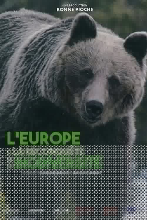 L'Europe à la reconquête de la biodiversité