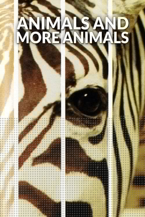 Animals and More Animals
