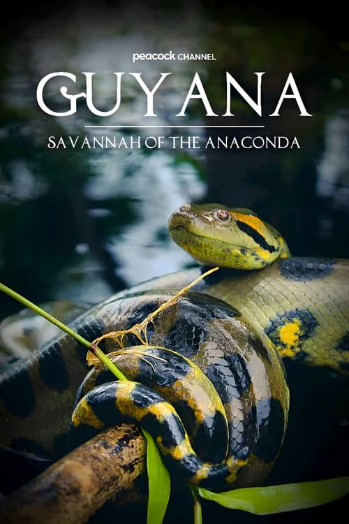 Guyana: Savannah Of The Anaconda