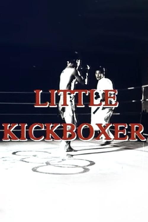 Thunder Ninja Kids 5: Little Kickboxer
