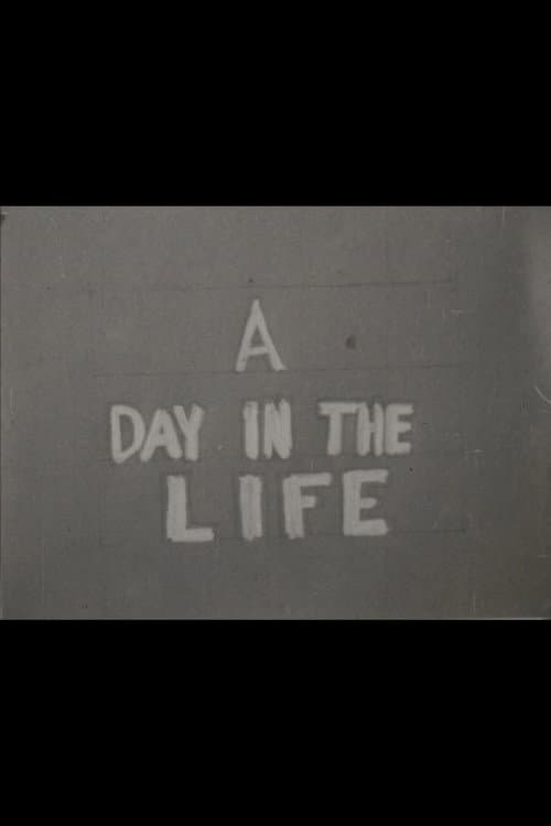 A Day in the Life