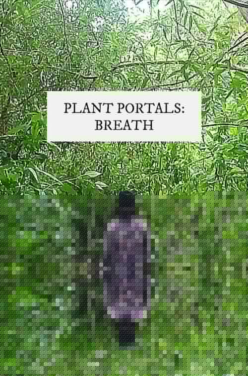 plant portals: breath