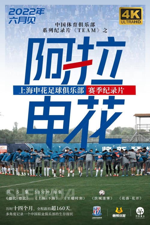 阿拉申花