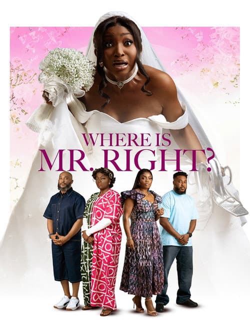 Where is Mr Right