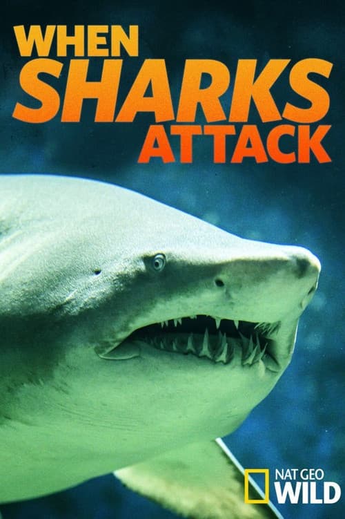 National Geographic : Quand Les Requins Attaquent