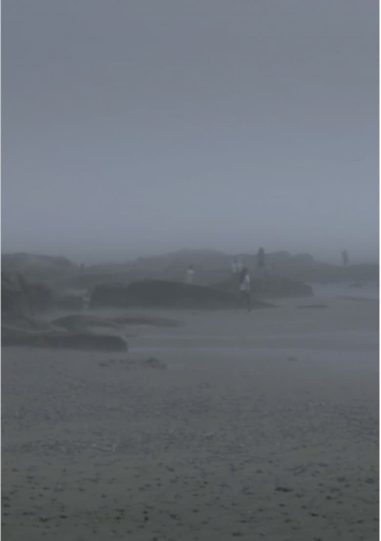 The Fog Has Covered The Moment Again