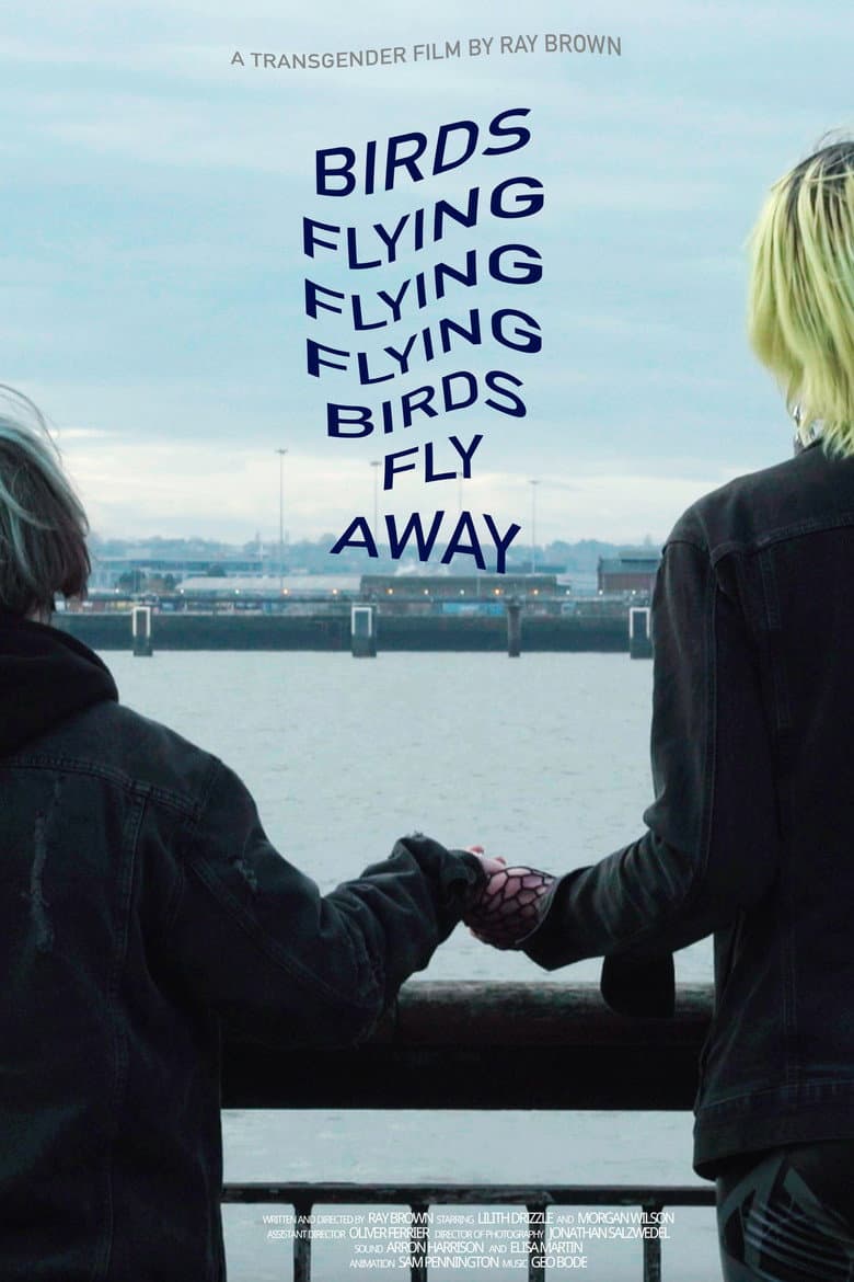Birds Flying Flying Flying Birds Fly Away