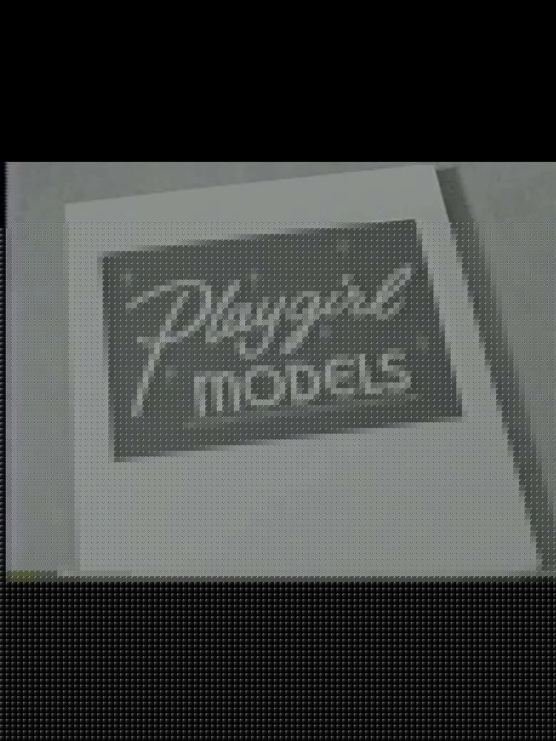 Playgirl Models
