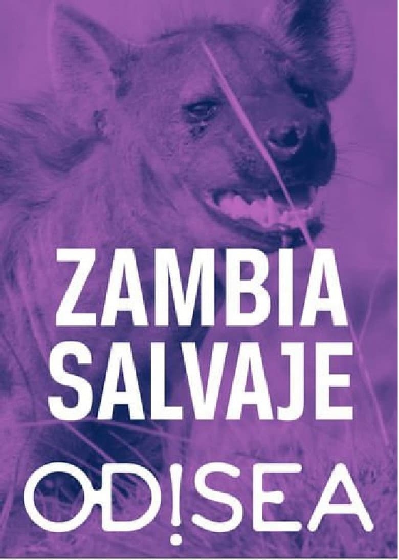 Tales from Zambia