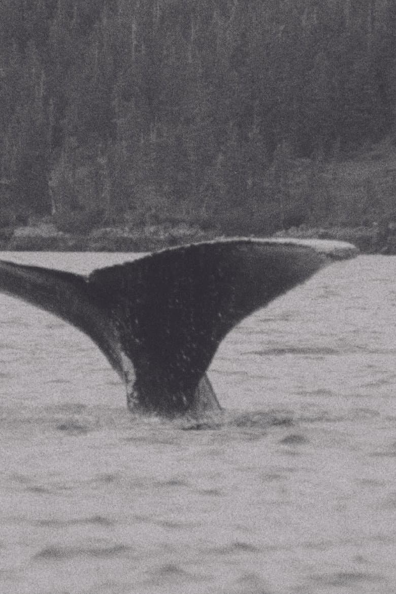 Whales