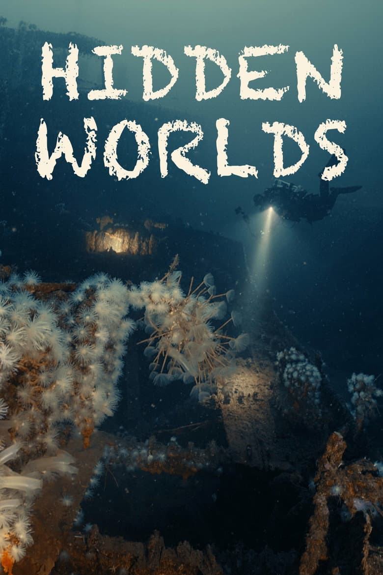 Hidden Worlds