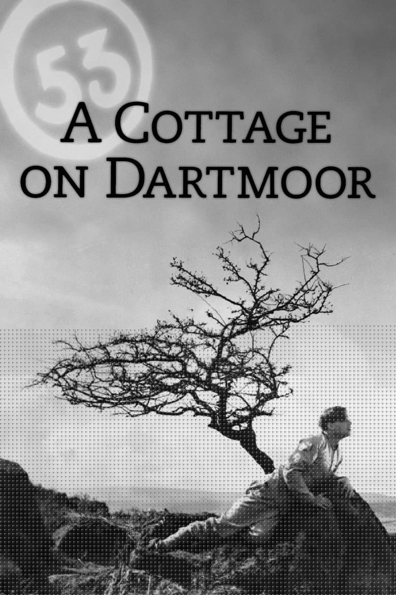 A Cottage on Dartmoor