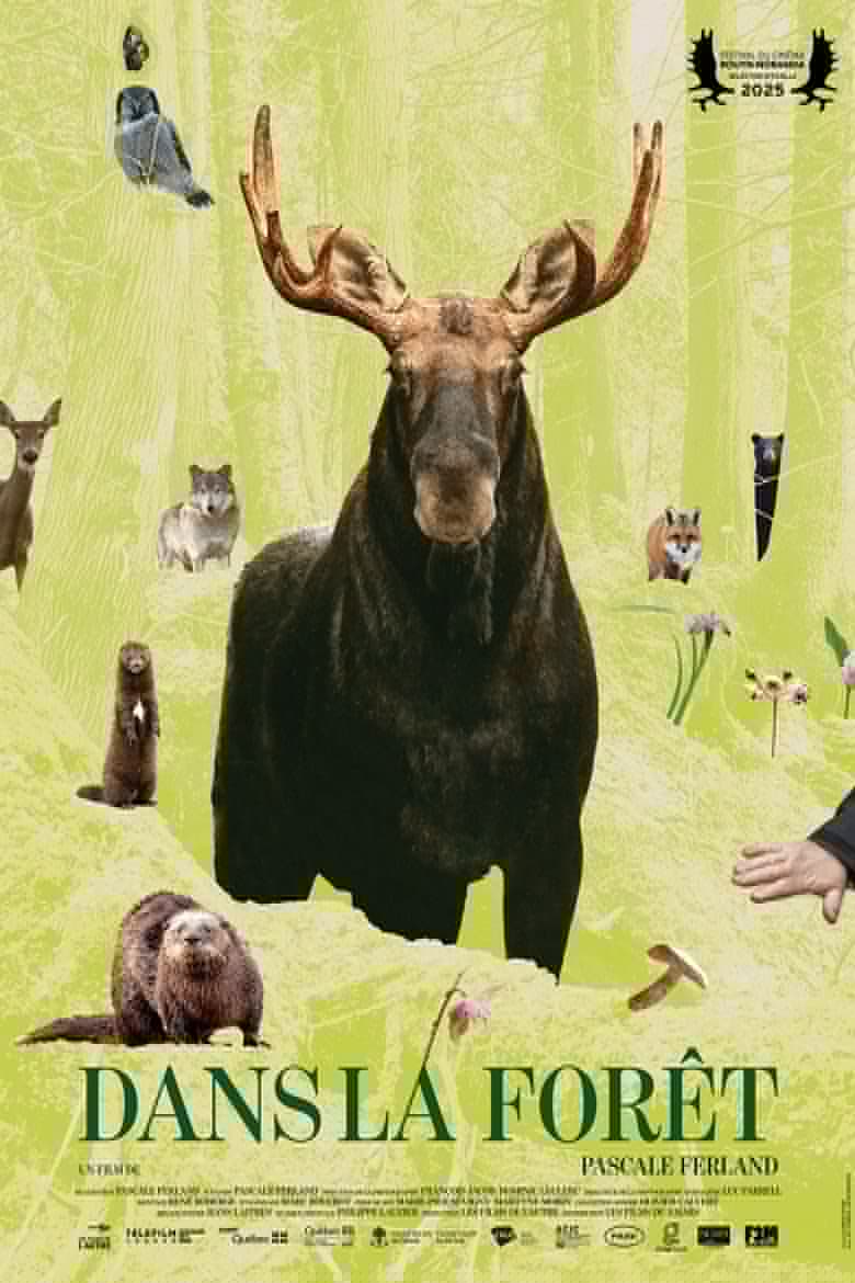 In the Forest