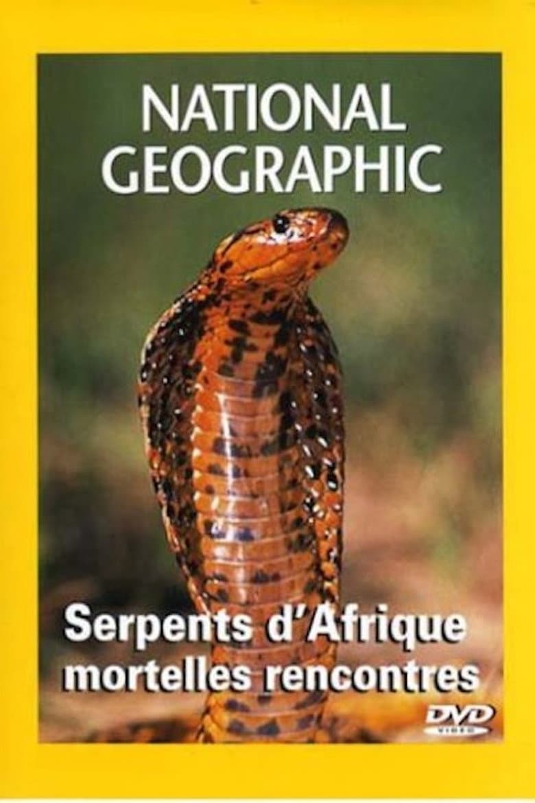 African Snakes
