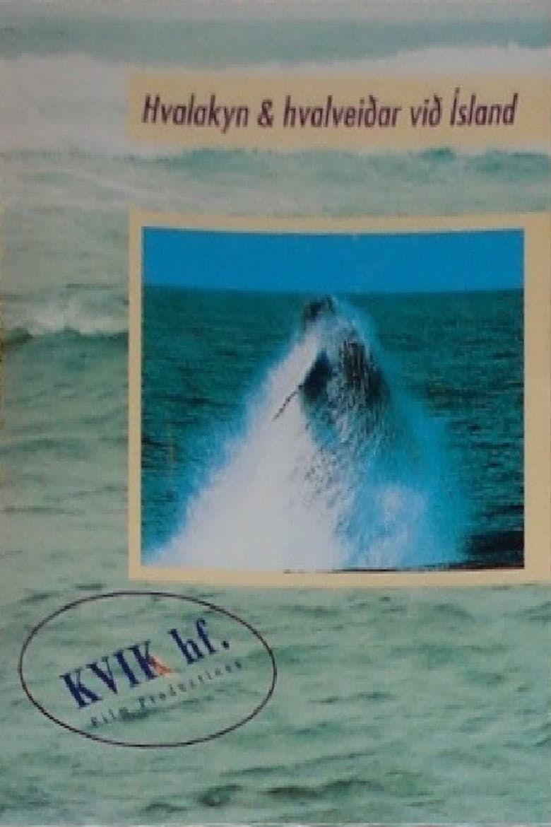 Iceland Whaling