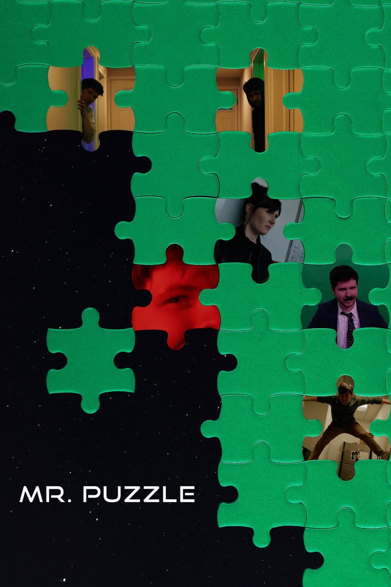 Mr. Puzzle