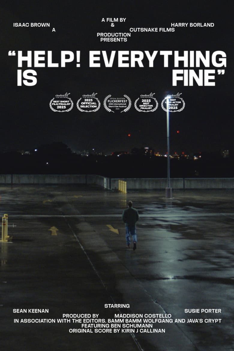 Help! Everything is Fine