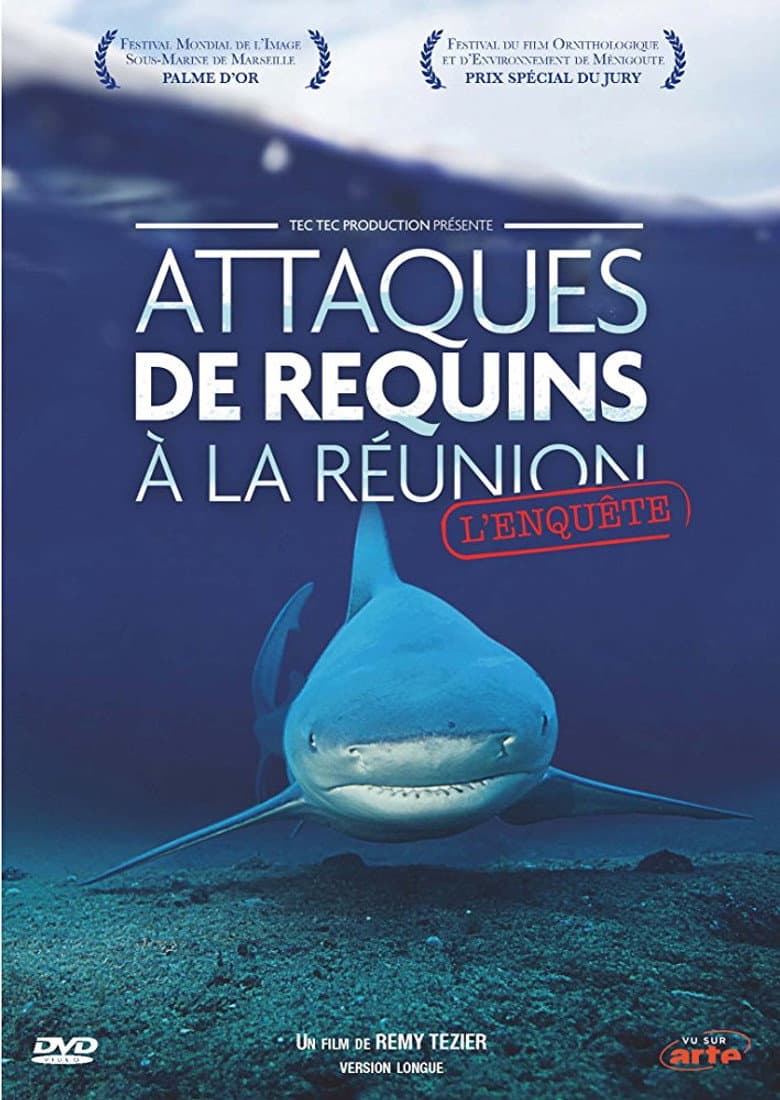 Attaques de Requins à La Réunion : L'enquête