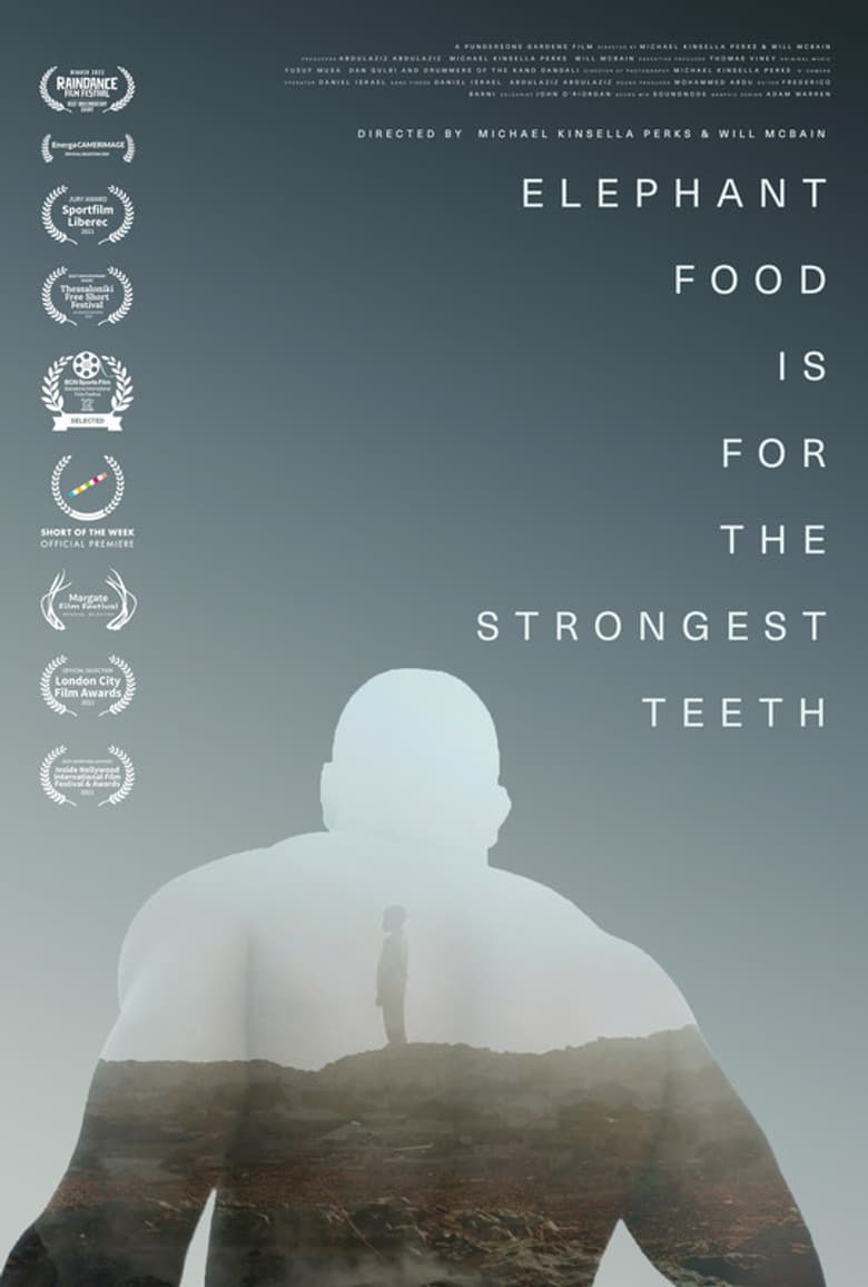 Elephant Food Is for the Strongest Teeth