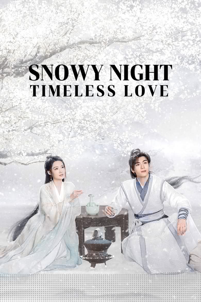 Snowy Night Timeless Love