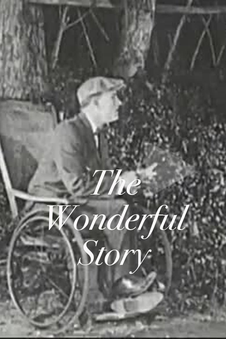 The Wonderful Story
