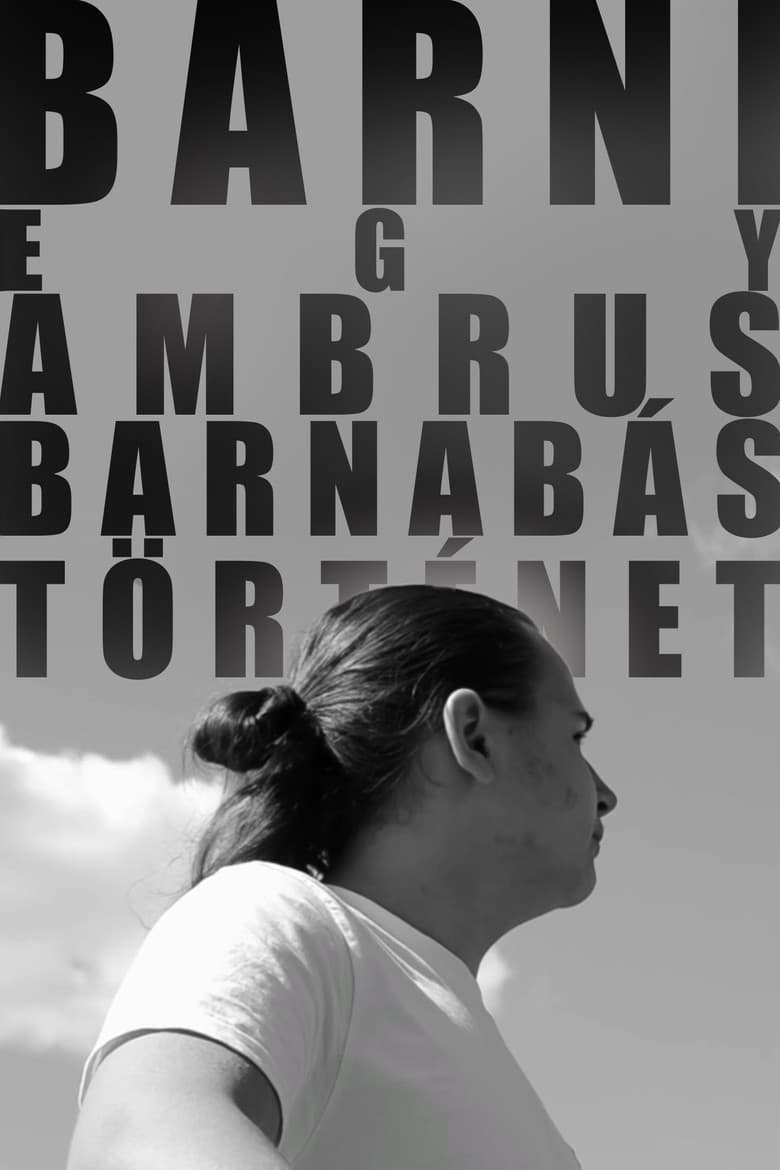 BARNI: A Barnabás Ambrus Story