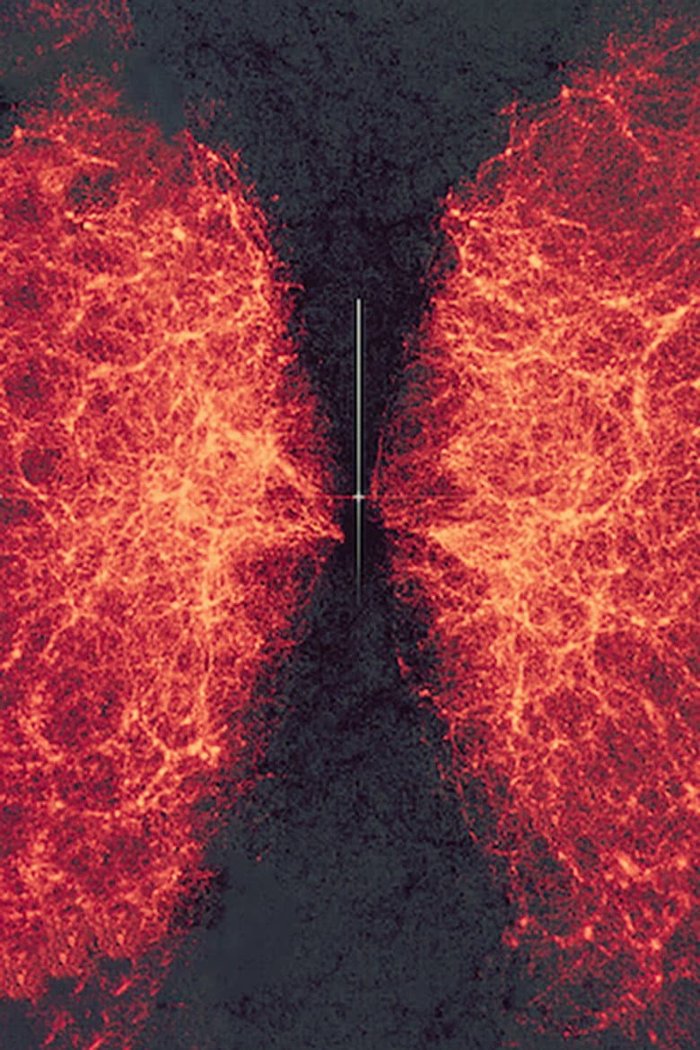 data-verse 1